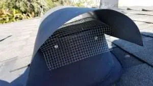 rodent proofing los angeles