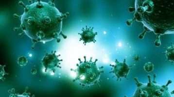 Why you shouldn’t use bleach products to treat Mold