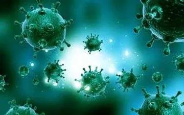 Why you shouldn’t use bleach products to treat Mold
